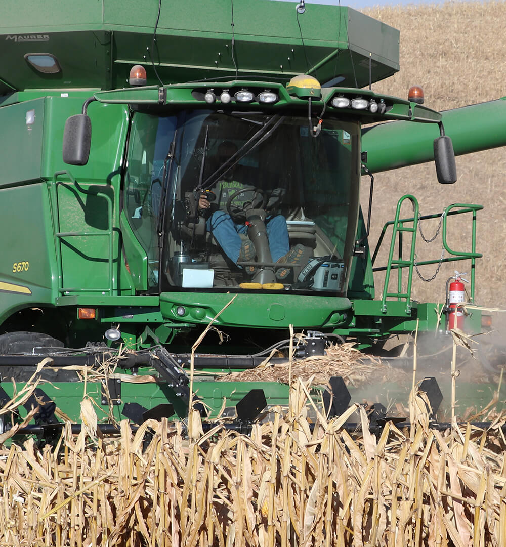 Corn Reel Sit Tight